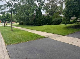 Gill D.'s grass maintenance service result