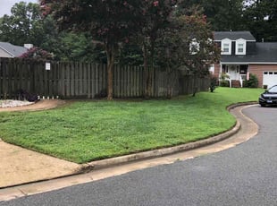 Patricia R.'s turf care service result