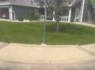 Deanna N.'s grass maintenance service result