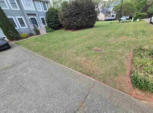 Susan H.'s turf care service result