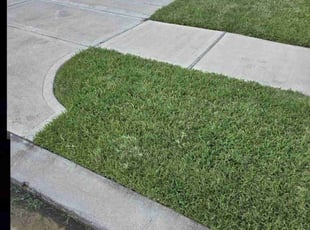 Juliet K.'s turf care service result