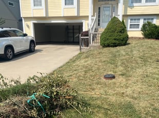 Jody A.'s Bush Trimming service result