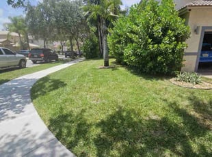 Donna D.'s lawn care services service result