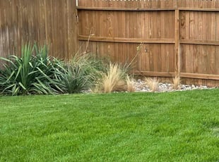 Vanessa L.'s Flower Bed Weeding service result