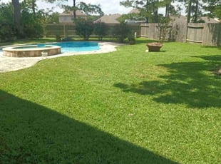 Roslyn R.'s grass maintenance service result