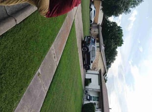 Anthony G.'s grass cutting service result