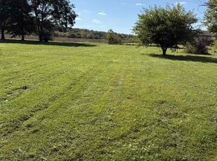 Howard W.'s turf maintenance service result