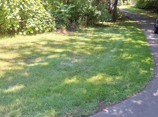 John M.'s lawn service service result