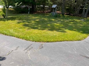 Valencia H.'s lawn care service result