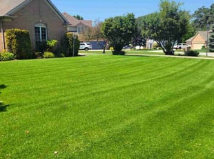 Cory M.'s lawn care service result