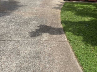 Pankaj S.'s turf care service result