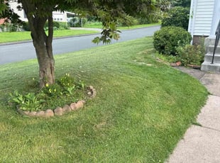 Tawana M.'s lawn maintenance service result