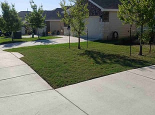 Brenda L.'s yard care service result