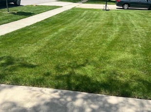Steve B.'s lawn care service result