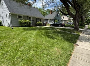 Cecelia M.'s grass maintenance service result