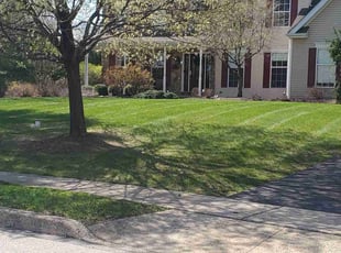 Earl M.'s turf care service result