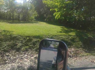 Coleen B.'s lawn service service result