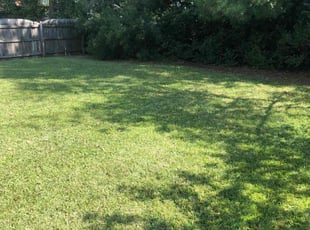 Theresa C.'s lawn service service result