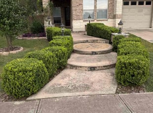 Christopher D.'s Bush Trimming service result