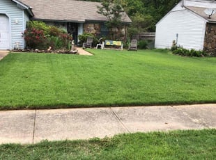 Kelvin P.'s turf care service result