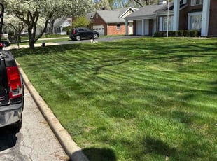 Abdurrahman R.'s turf maintenance service result