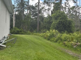 Venita Y.'s grass cutting service result