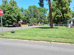 Steven G.'s grass cutting service result