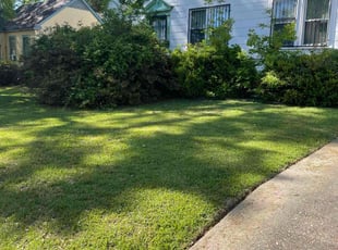 Joshua b.'s grass cutting service result