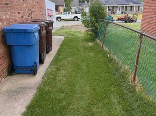 Charmayne A.'s lawn care services service result