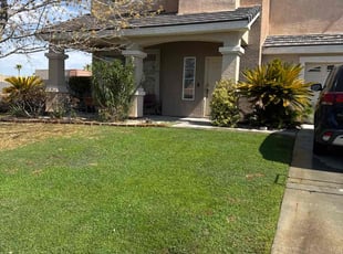 Christopher L.'s turf maintenance service result