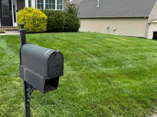 Diamond Y.'s lawn care service result