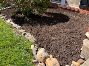 Jose M.'s Bush Trimming service result