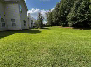 Frank T.'s turf maintenance service result