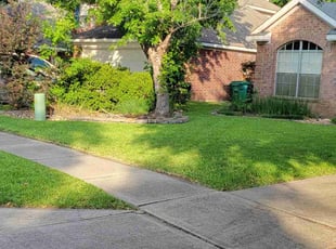 Mary J.'s turf maintenance service result