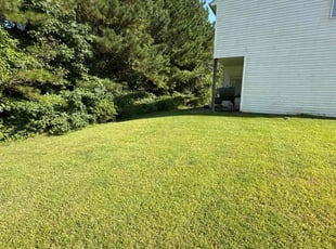 Hal L.'s lawn maintenance service result