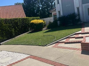 Alvin C.'s lawn care services service result