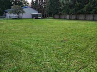 Carol C.'s lawn service service result