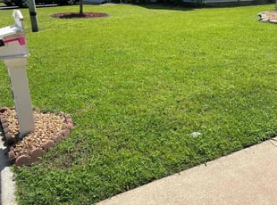 Linda A.'s grass maintenance service result