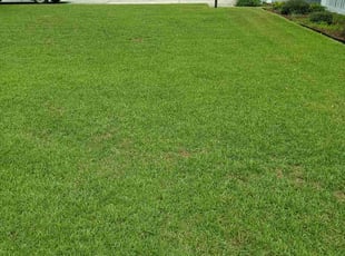 Katelynn E.'s grass cutting service result