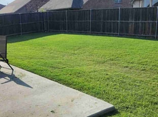 Warren D.'s lawn care service result