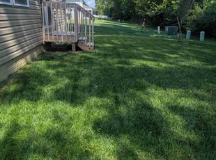 Robyn P.'s grass maintenance service result