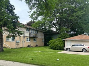 Vanese R.'s grass maintenance service result
