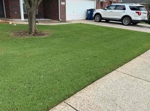 Alix C.'s lawn care service result