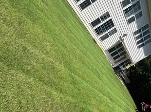 Jessica T.'s turf maintenance service result