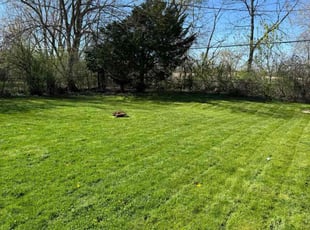 Misti E.'s lawn care services service result