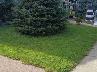 Melody R.'s lawn maintenance service result