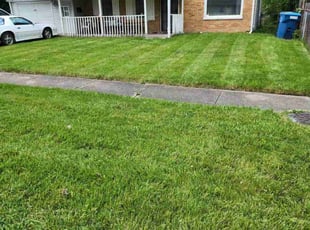 Aida A.'s lawn care service result