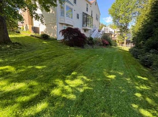 Dave R.'s turf maintenance service result