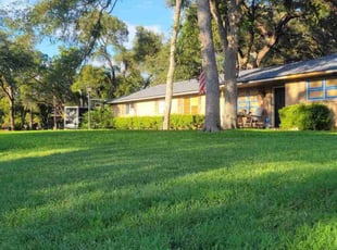 Michael O.'s lawn care service result