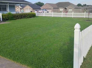 Fernando S.'s turf care service result